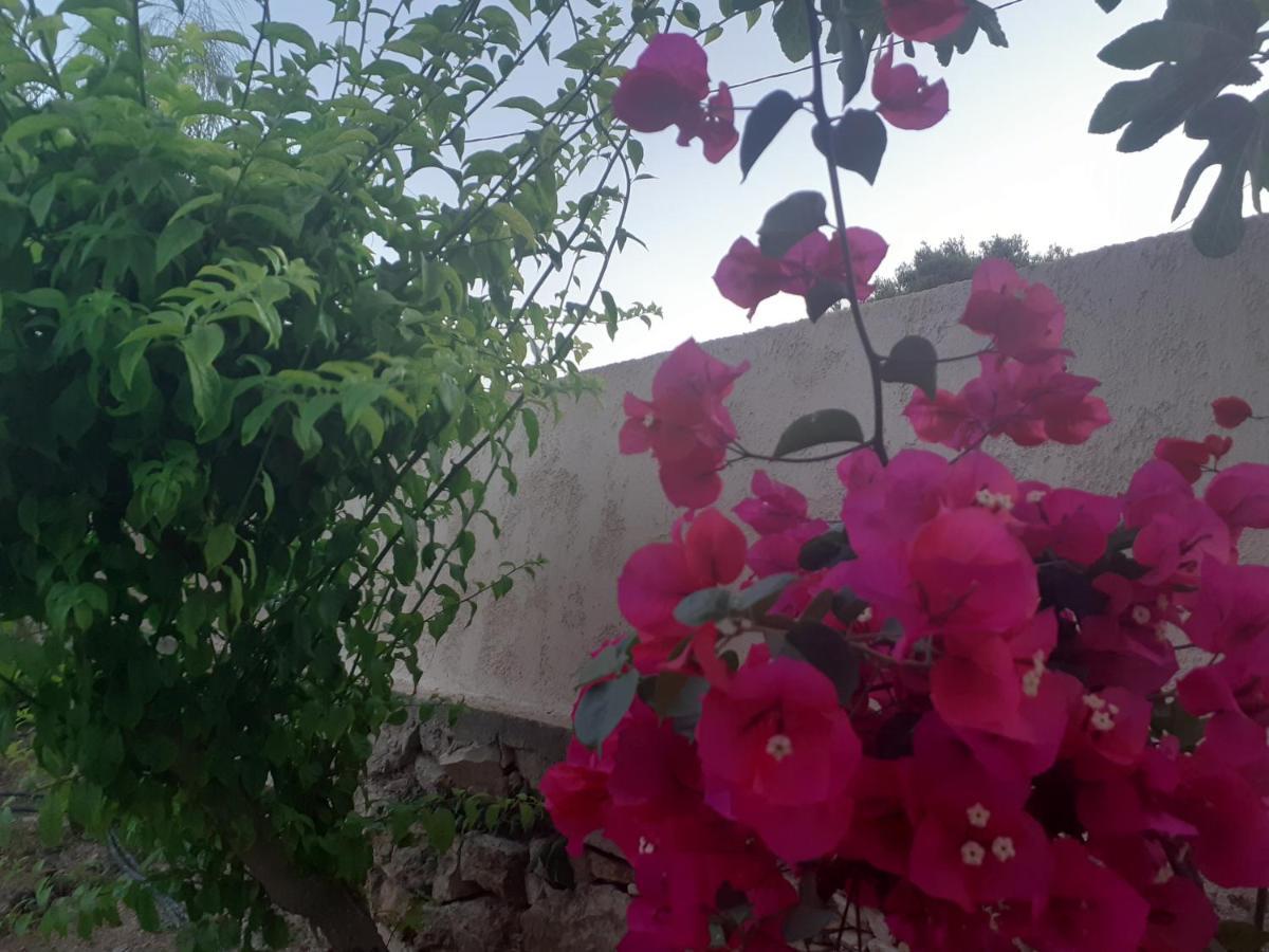 Masticha Village Apartments & Studios Monolia Buitenkant foto